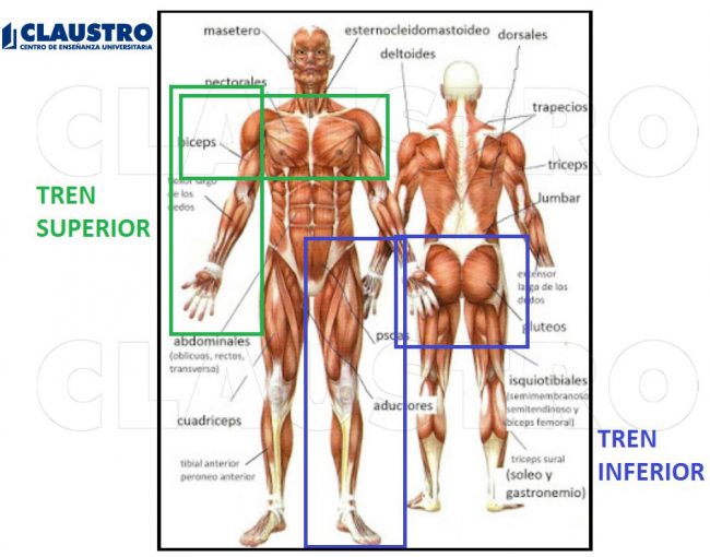 Tropa y Marineria CLAUSTRO Tropa y Marineria CLAUSTRO